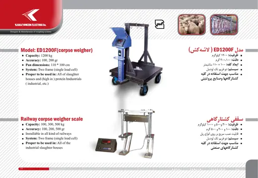 ED1200F و باسکول ریلی کشتارگاهی